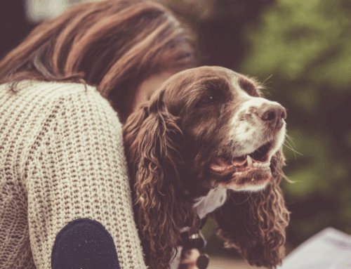 How Owning a Dog Improves Your Life