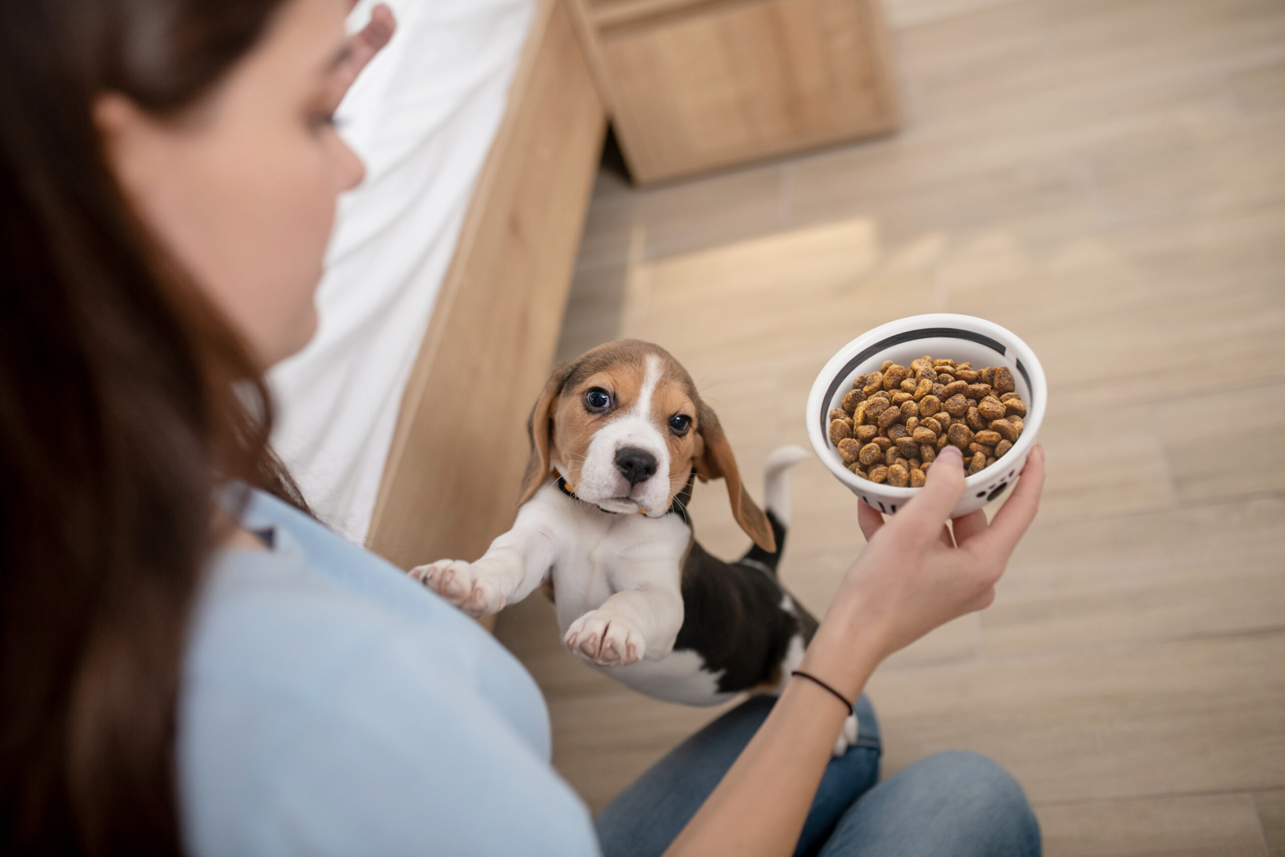 woman with dog food - choosing healthiest dog food
