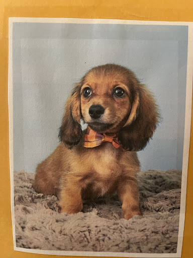 Photo from customer review